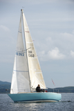 whyw13 sun 0950